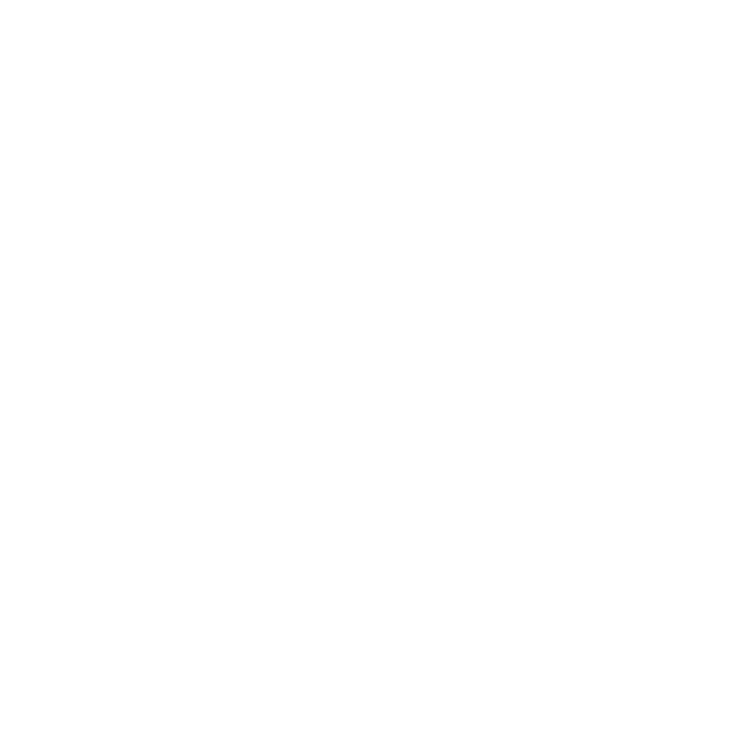 Africa Braai